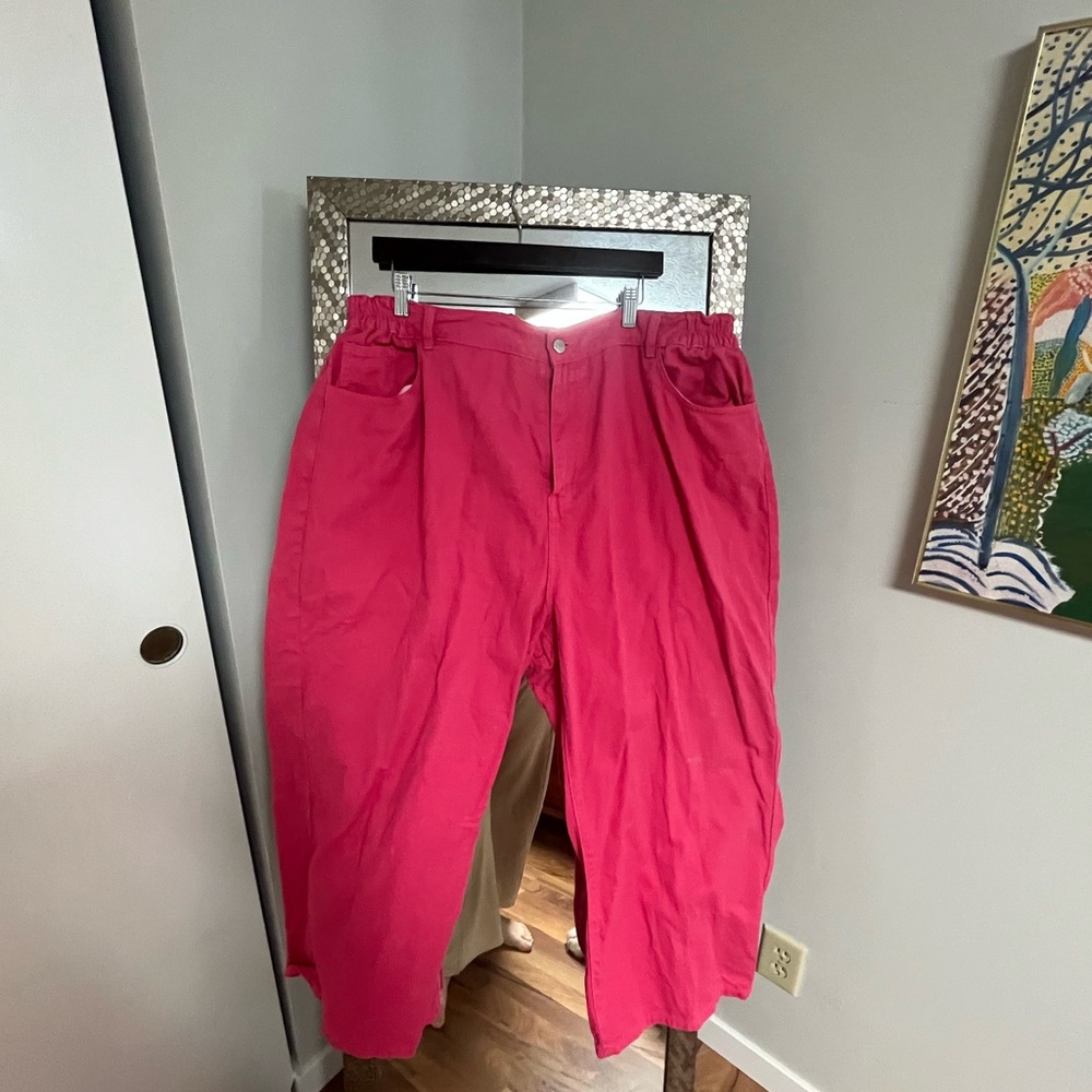 Shiny By Nature pink 3xl jeans pants